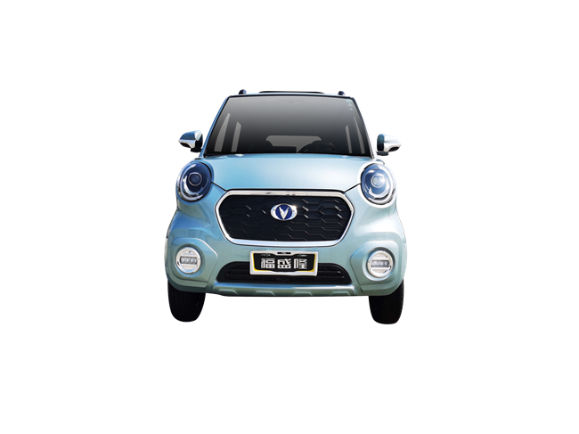 Fu Sheng Long new energy electric car